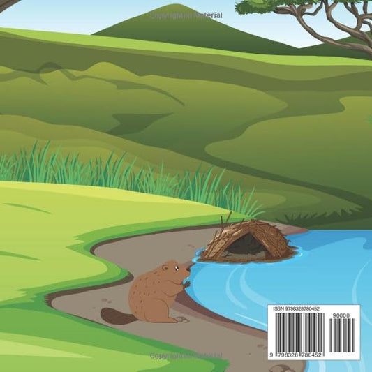 Barry The Beaver Photographer